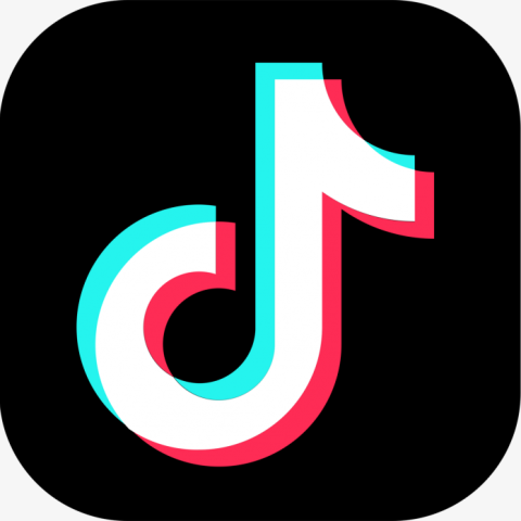 成人版抖音